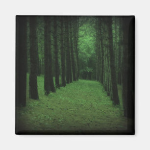 Enchanted Forest Magnet