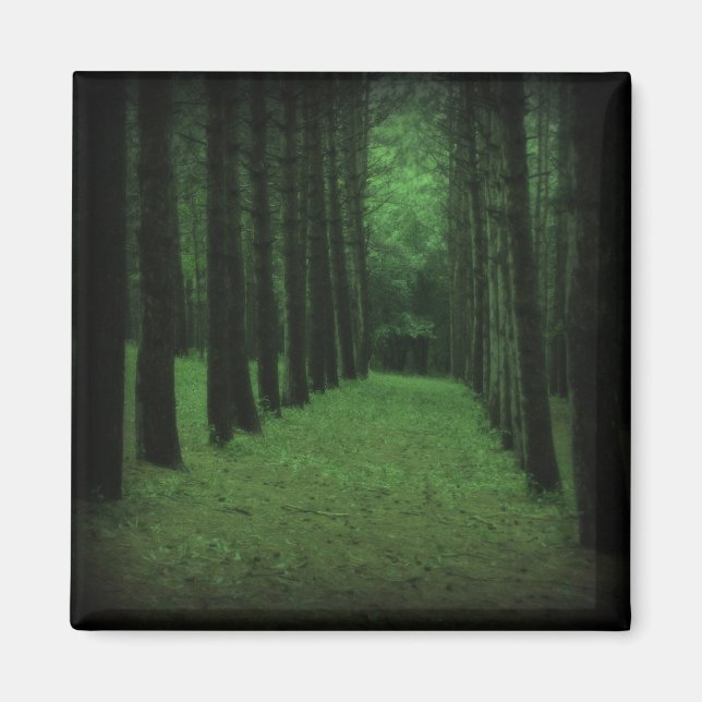 Enchanted Forest Magnet (Front)