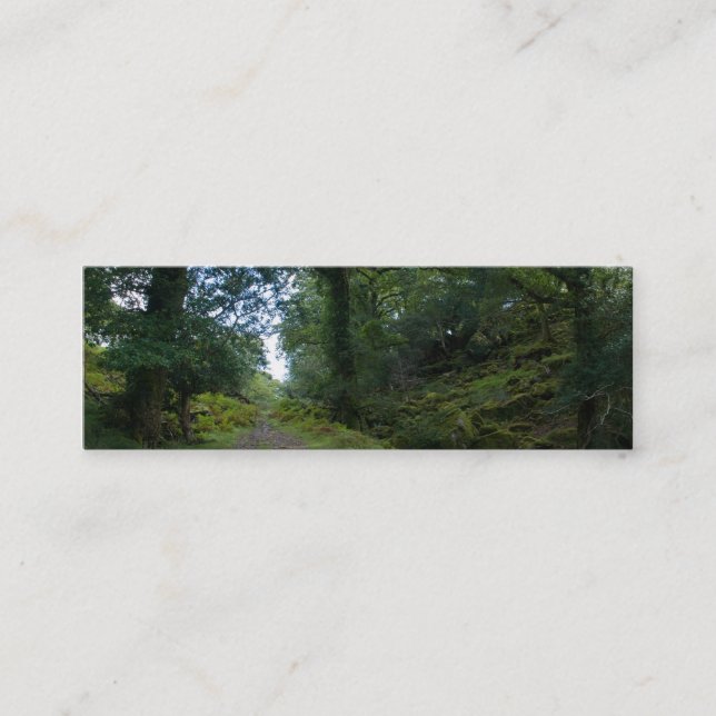 Enchanted Forest Mini Business Card (Front)