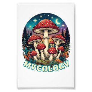 Enchanted Forest Mushroom Art Photo Print