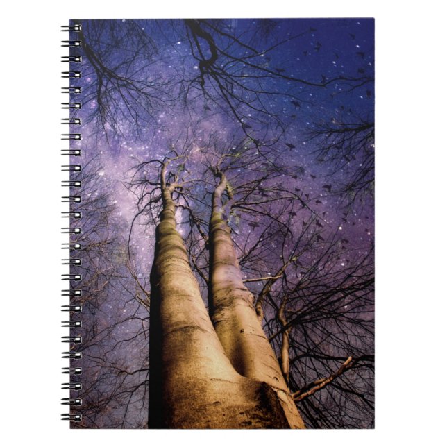 Enchanted Forest Notebook (Front)