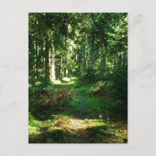 enchanted forest postcard