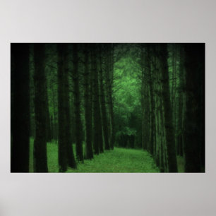 Enchanted Forest Poster