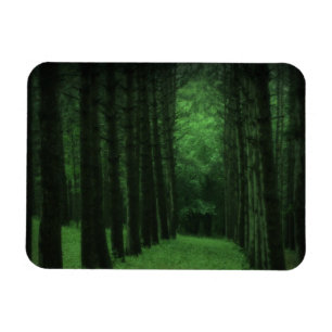 Enchanted Forest Premium Magnet