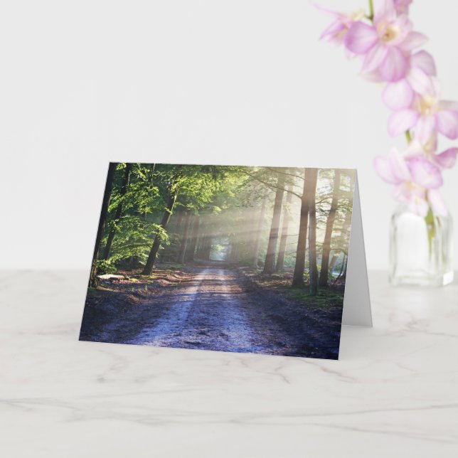 Enchanted Forest Road 2 Card (Orchid)
