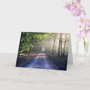 Enchanted Forest Road 2 Card
