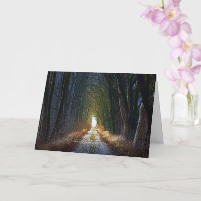 Enchanted Forest Road 3 Card (Orchid)