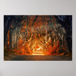 Enchanted Forest Road Poster