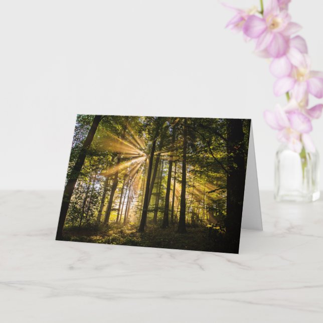Enchanted Forest Sun Rays 1 Card (Orchid)