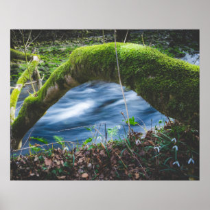 Enchanted magical forest poster