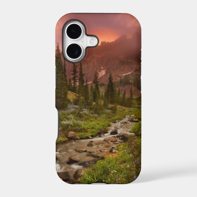 Enchanted Meadows (Back)