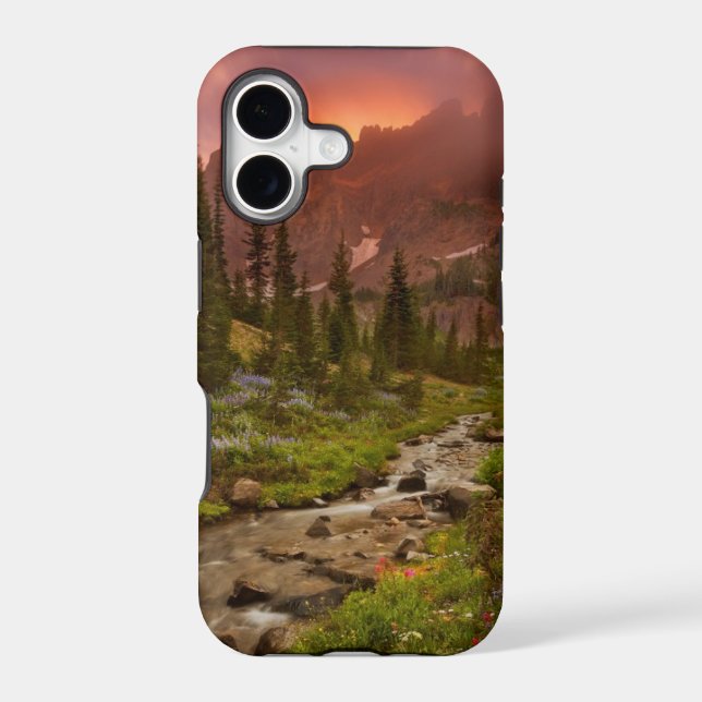 Enchanted Meadows (Back)