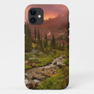Enchanted Meadows iPhone 11 Case