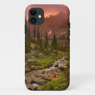 Enchanted Meadows iPhone 11 Case