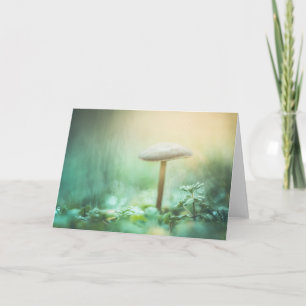 Enchanted Mushroom Nature Photo Card