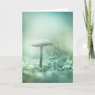 Enchanted Mushroom Nature Photo Card