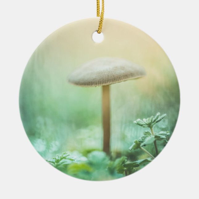 Enchanted Mushroom Nature Photo Ceramic Ornament (Front)