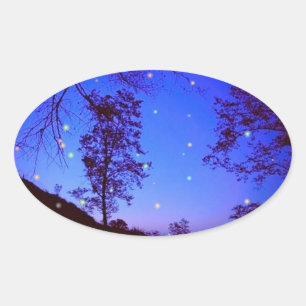 Enchanted Night Oval Sticker