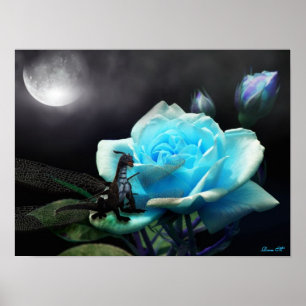 enchanted nights full colour poster