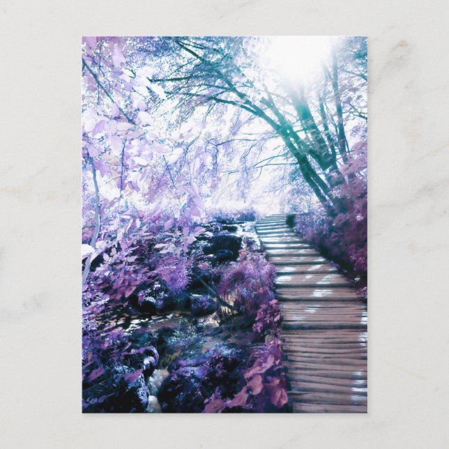 enchanted path postcard (Front)