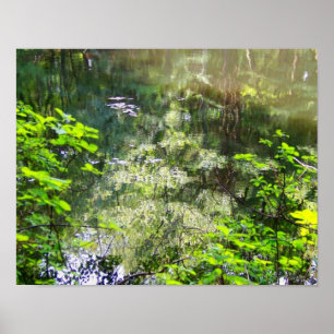 Enchanted Reflection Poster