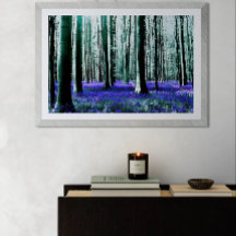 Enchanting Bluebell Forest