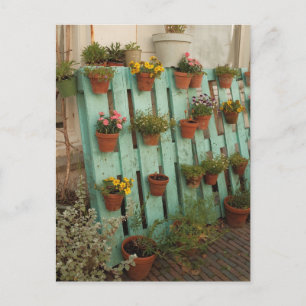 Enchanting Garden Flower Pots Rustic Cottagecore Postcard