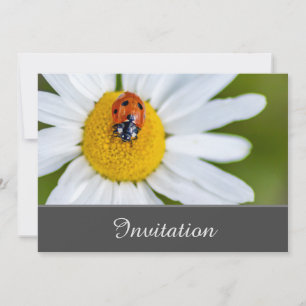 Enchanting Invitation Card with lucky Ladybug