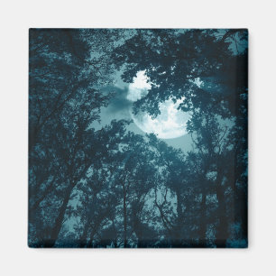 Enchanting Night Forest with Full Moon Magnet