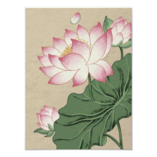 Enchanting Serenity: Delicate Pink Lotus in Bloom Photo Print (Front)