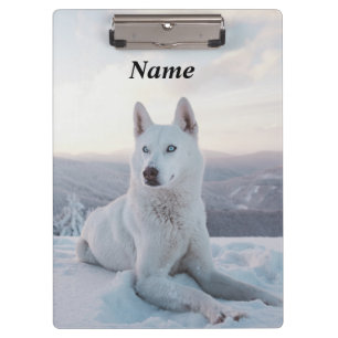 Enchanting White Husky Dog in the snow Clipboard
