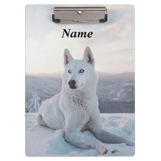 Enchanting White Husky Dog in the snow Clipboard (Front)