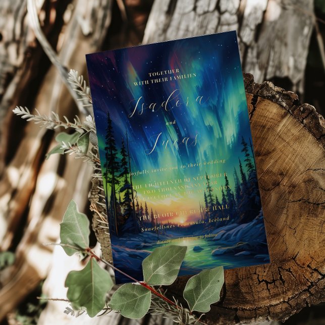 Enchanting Winter | Northern Lights Wedding (Creator Uploaded)