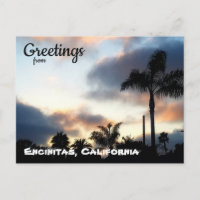 Encinitas California Palm Trees Sunset