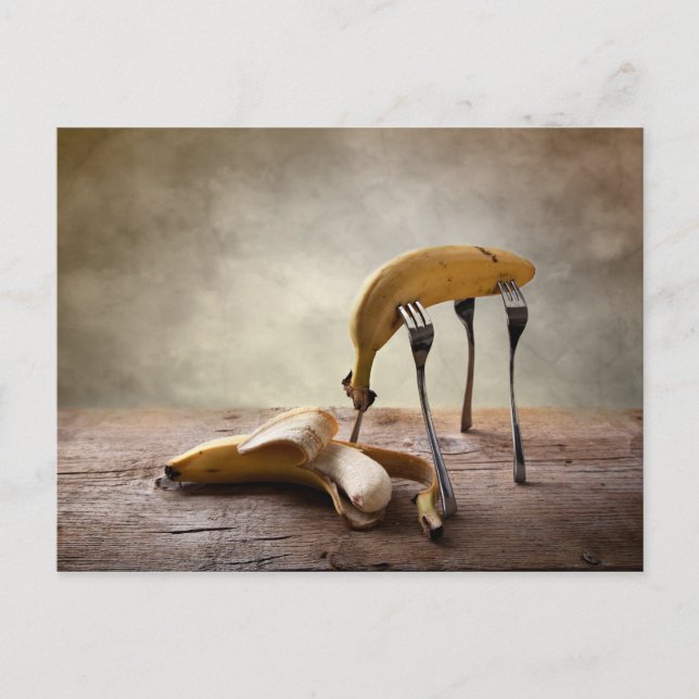 Encounter Postcard (Front)