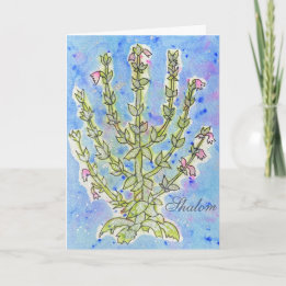 EncourageMe "Shalom"  Card