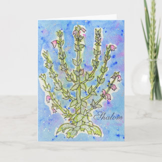 EncourageMe "Shalom"  Card