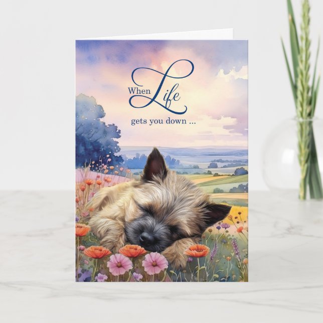 Encouragement Cairn Terrier Dog Wildflower Meadow Card (Front)