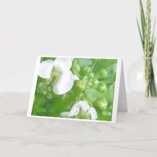 encouragement card