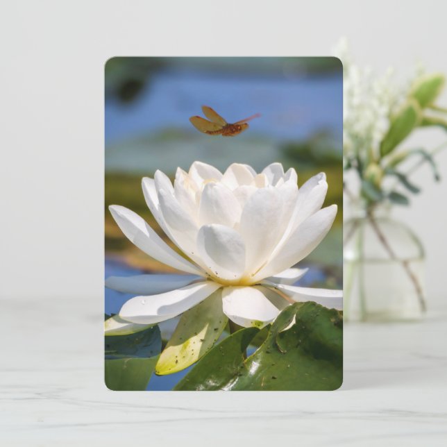 Encouragement Card: No mud, no lotus (Standing Front)