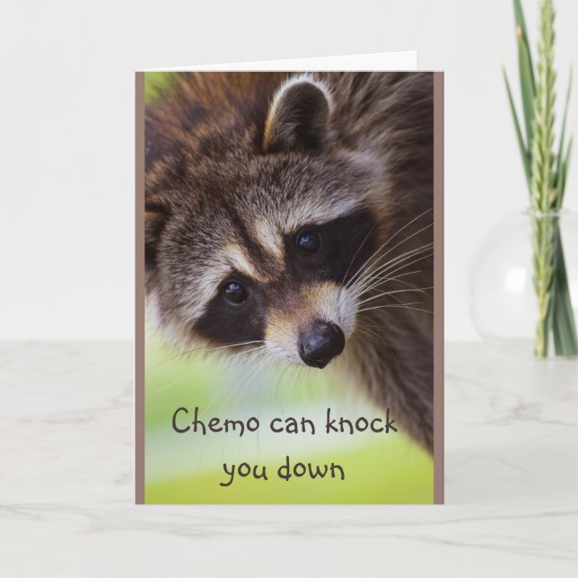 Encouragement Chemo can knock you down Racoon Card (Front)