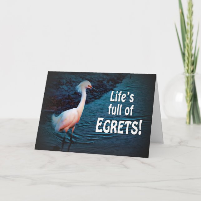 ENCOURAGEMENT - DON'T REGRET - MOVE ON (egrets) Card (Front)