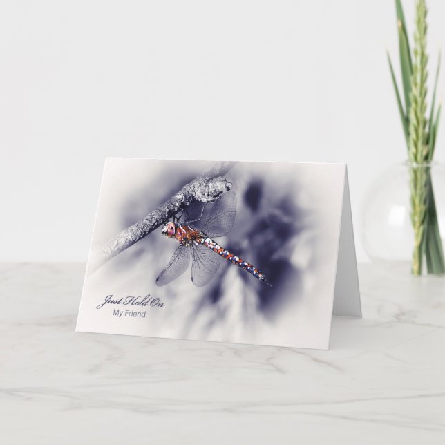 Encouragement For Fried, Just Hold On Dragonfly Card (Front)