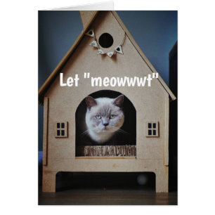 Encouragement/ Get Well Cute Cat Looking Out