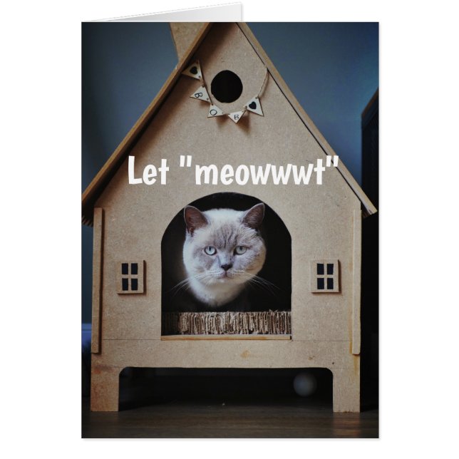 Encouragement/ Get Well Cute Cat Looking Out (Front)