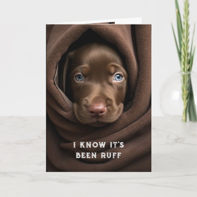 Encouragement/ Get Well Cute Chocolate Lab Dog Card (Front)