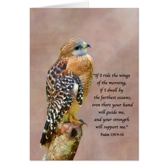 Encouragement, Get Well, Spiritual, Hawk on a Limb Card