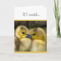 Encouragement or Get Well Cuddling Ducklings