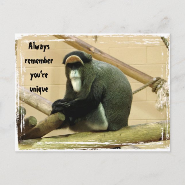 Encouragement Postcard with Monkey (Front)