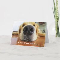 Encouragement Support Get Well Add a Name Cute Dog